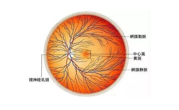 女足球员患疾病面临摘除眼球(女足球员患疾病面临摘除眼球)