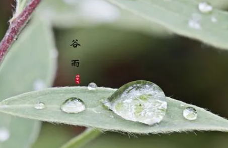 2022谷雨过后天气还会冷吗1