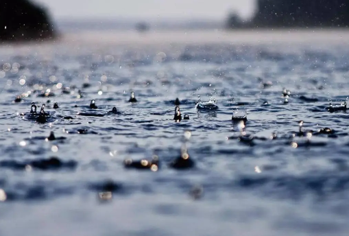 2022年上海5月份雨水多吗3