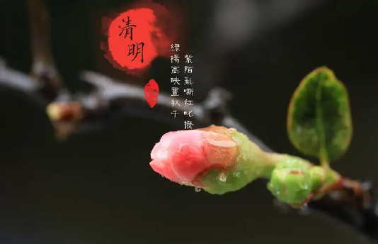 清明节上坟分上下午吗3