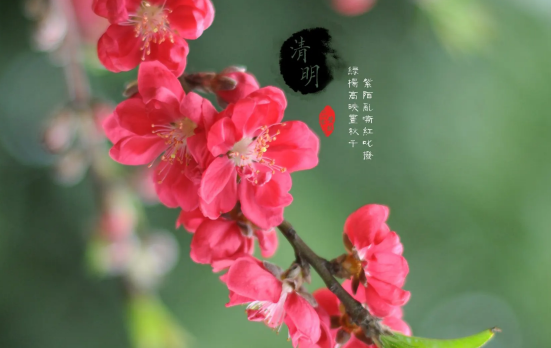 清明节上坟烧大香好还是小香好3