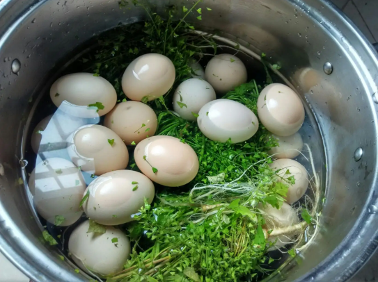 清明节用什么草煮鸡蛋3