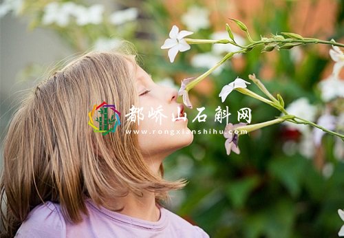 鼻子失去嗅觉是什么原因造成的