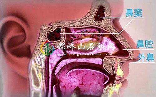 鼻子失去嗅觉是什么原因造成的