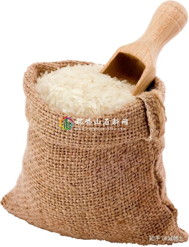 减肥主食用什么代替米饭