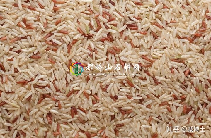 减肥主食用什么代替米饭