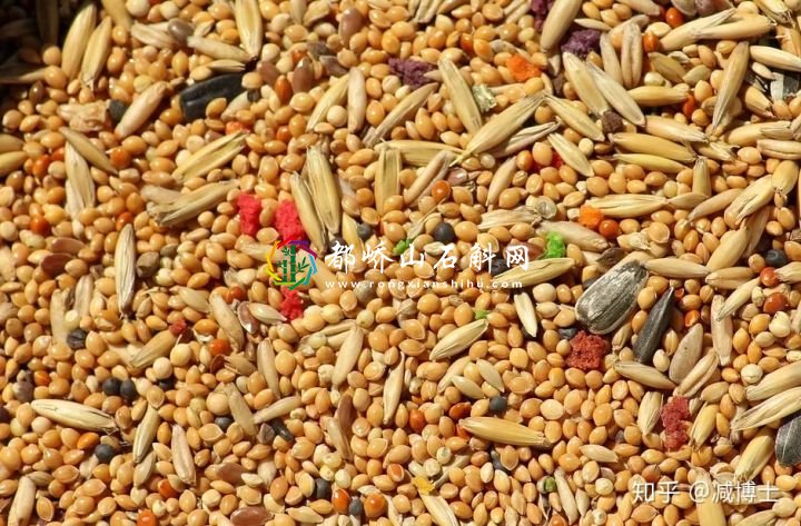 减肥主食用什么代替米饭
