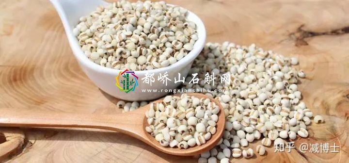 减肥主食用什么代替米饭