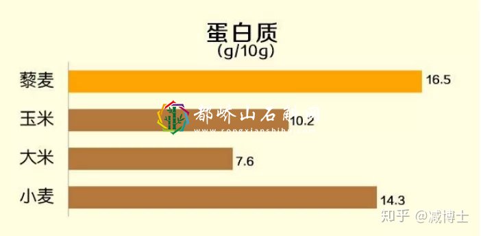 减肥主食用什么代替米饭