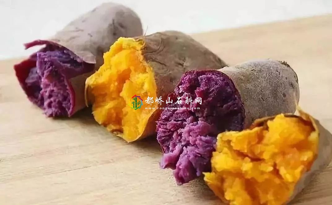 减肥可以吃紫薯红薯吗【减肥吃红薯还是紫薯好】