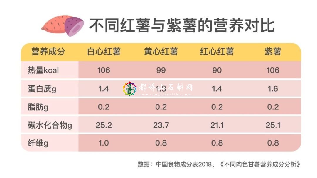 减肥可以吃紫薯红薯吗【减肥吃红薯还是紫薯好】