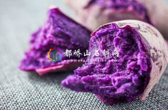 减肥可以吃紫薯红薯吗【减肥吃红薯还是紫薯好】