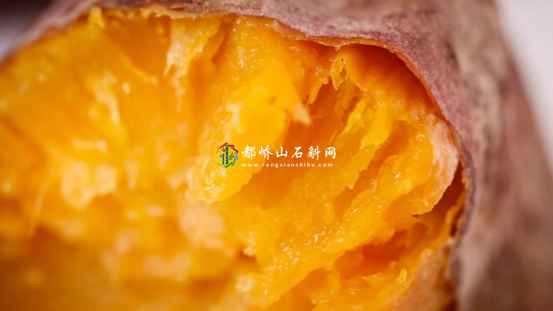 减肥可以吃紫薯红薯吗【减肥吃红薯还是紫薯好】