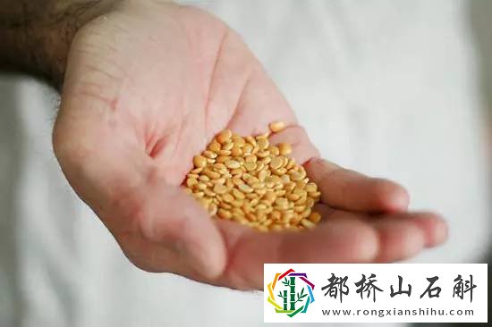 失去嗅觉如何恢复正常【如何提升自己的味觉和嗅觉】