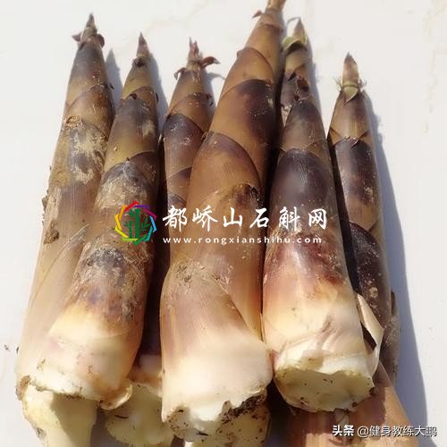 减肥为什么不能吃竹笋