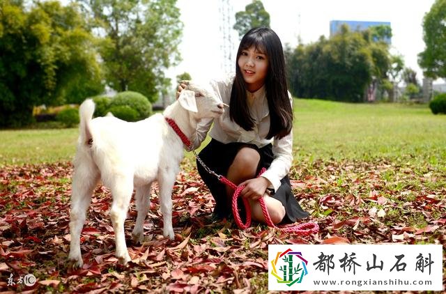 小叶把初次给乞丐老头
