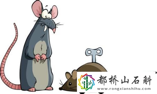 如何让老鼠自动离开家里【驱赶老鼠最有效方法】