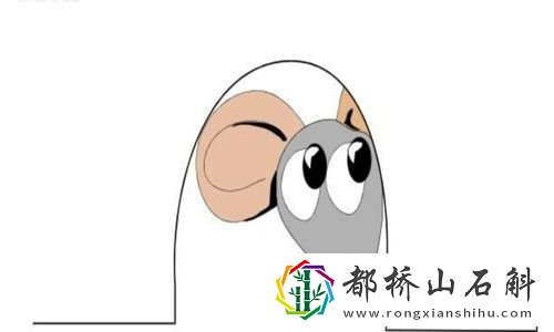 如何让老鼠自动离开家里【驱赶老鼠最有效方法】