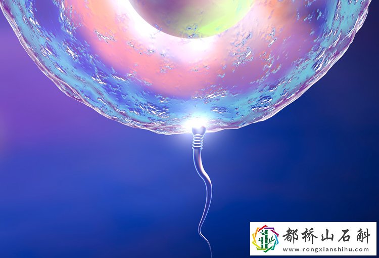 怎么怀孕要做什么事【备孕需要做些什么准备】