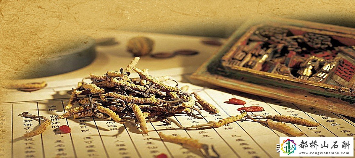 补气血的中成药哪个效果好