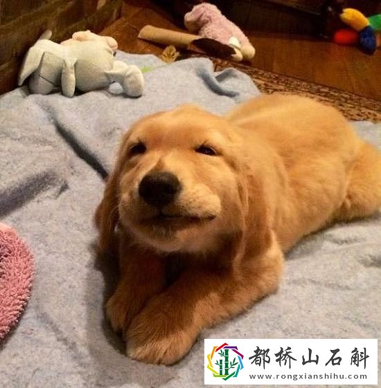 高情商回复女生哈哈