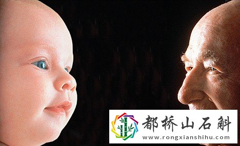 男人吃生姜对性功能有效吗