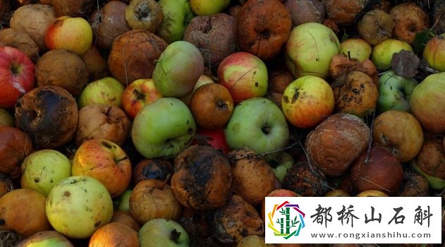 苹果烂了一小块割掉还能吃吗