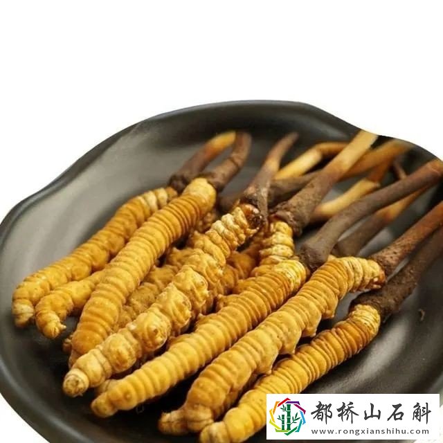 冬虫夏草真的那么好吗