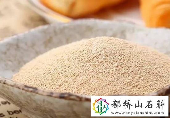 酵母粉吃多了对身体有害吗