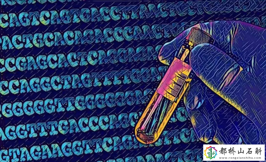 我做了基因检测好吓人【做基因检测能查出来什么毛病