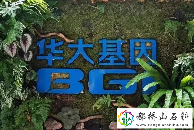 我做了基因检测好吓人【做基因检测能查出来什么毛病
