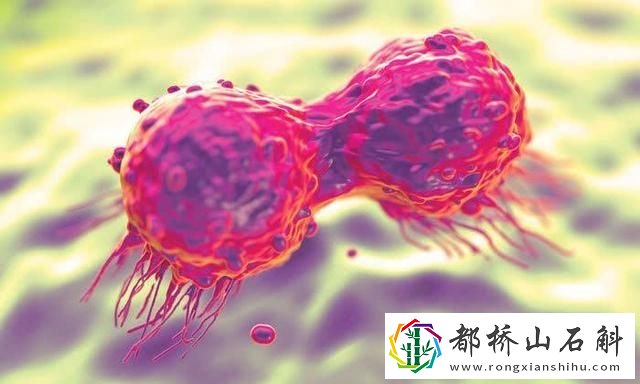 医生为什么建议不吃生菜
