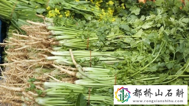 医生为什么建议不吃生菜