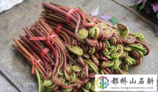 医生为什么建议不吃生菜