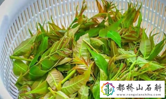 医生为什么建议不吃生菜