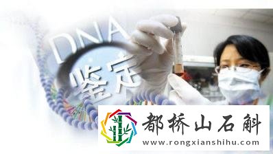 父子血型怎样辨别亲生