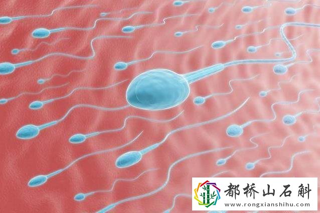 男子精子成活率低怎么办能够备孕吗