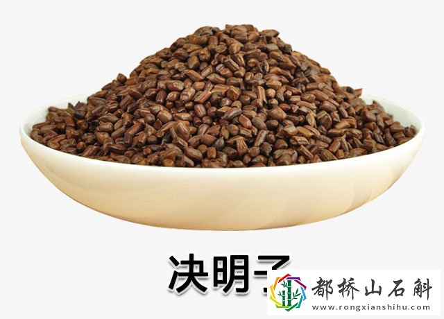 决明子的作用与功效和副作用