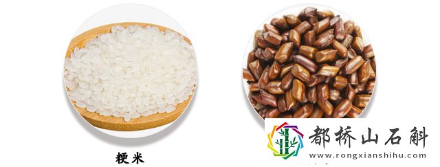 决明子的作用与功效和副作用