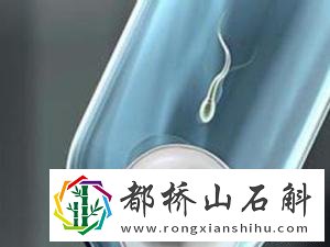 两个女的试管可以怀孕吗