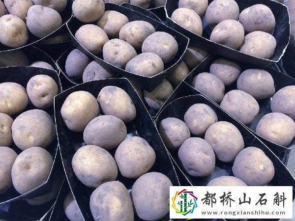 减肥主食用什么代替米饭【代替米饭的减脂主食】