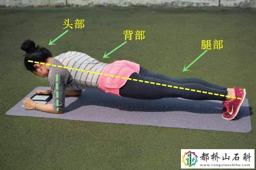 每天做平板支撑可以减肥吗