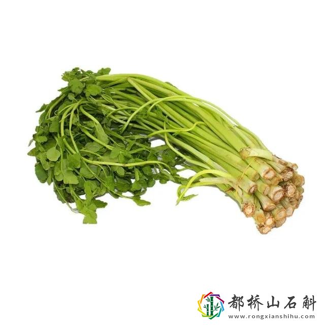 水芹菜和芹菜的区别
