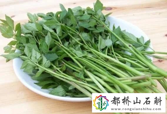 水芹菜和芹菜的区别