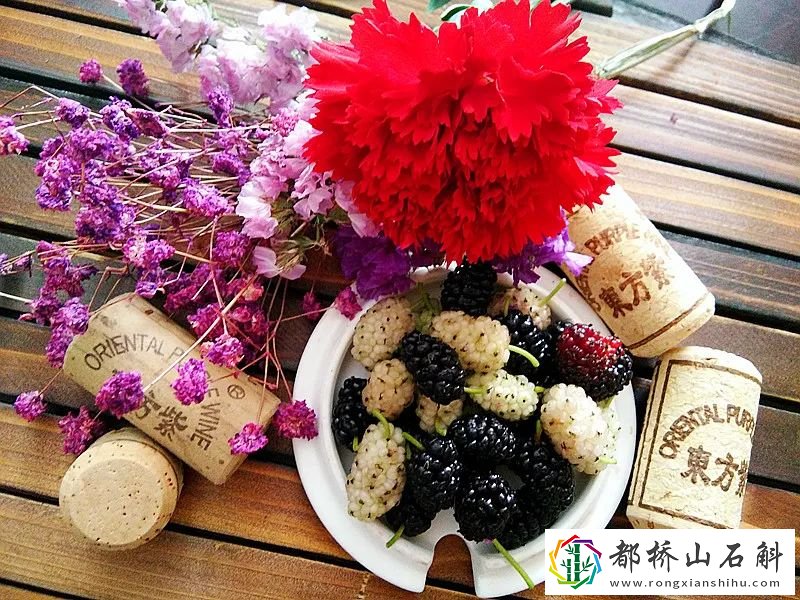 女人吃桑葚有什么好处和坏处