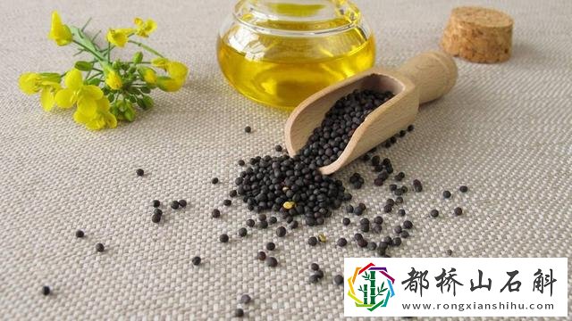 菜籽油和玉米油哪个好吃