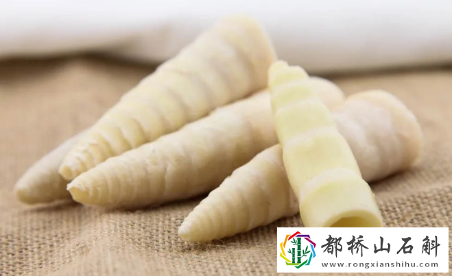 春季养生必吃十种食物
