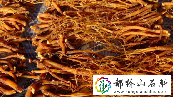 红参和什么搭配补气补血效果好