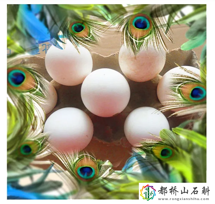 ȸʲôô