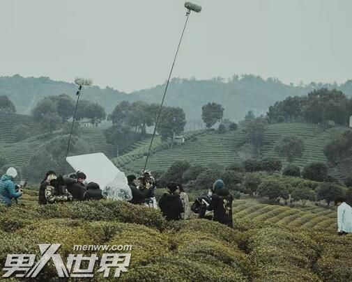 金山上的树叶主演是谁